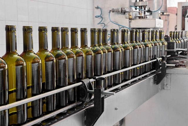 Wine bottles on production line to be filled.