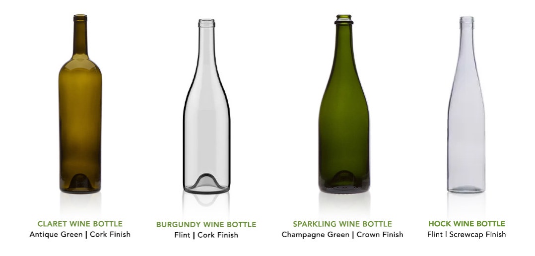 Transparent Dive into Glass Blog Series Part 2 Our Expert Guide
